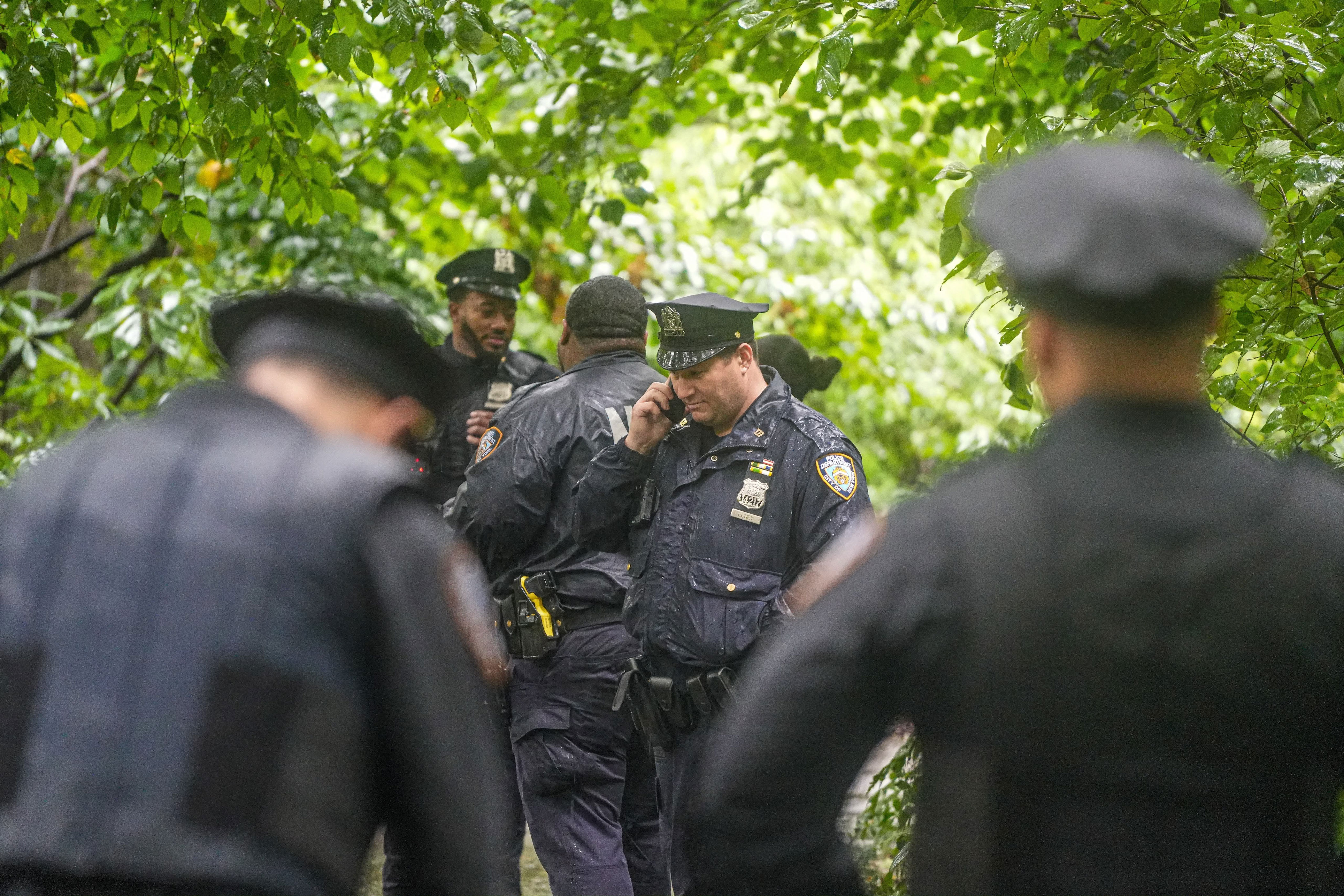 Central Park murder: Homeless man charged with fatally beating woman ...