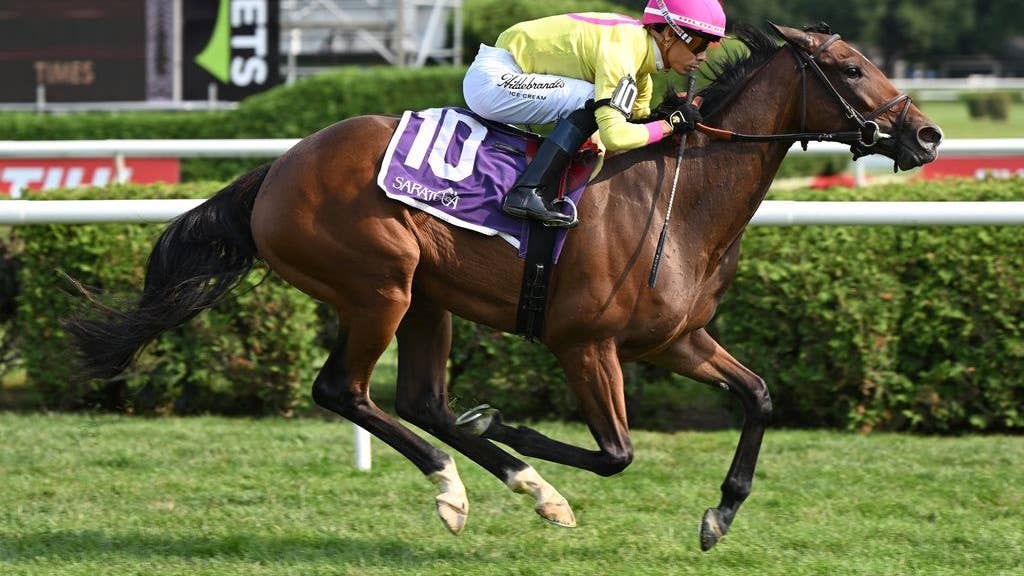 Yolo train set for stakes bow in Matron