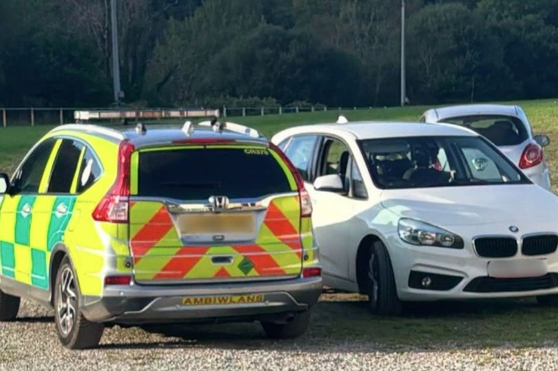 Serious injury halts Welsh rugby match as paramedic rushes to help in ...