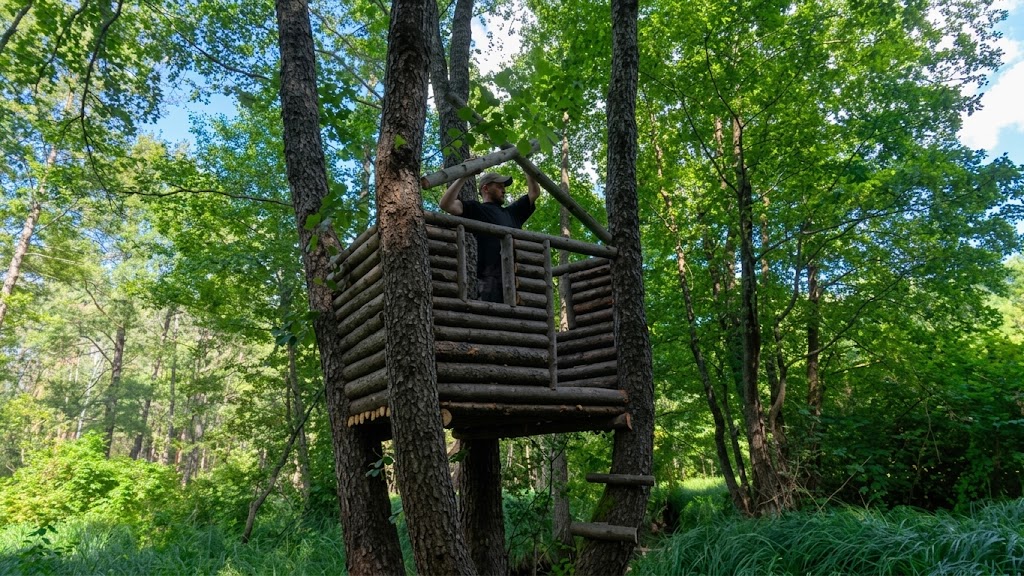 A bushcraft treehouse built for life in the wild