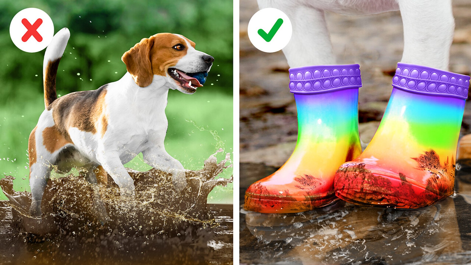 Smart DIY projects and playful toys every pet lover will enjoy