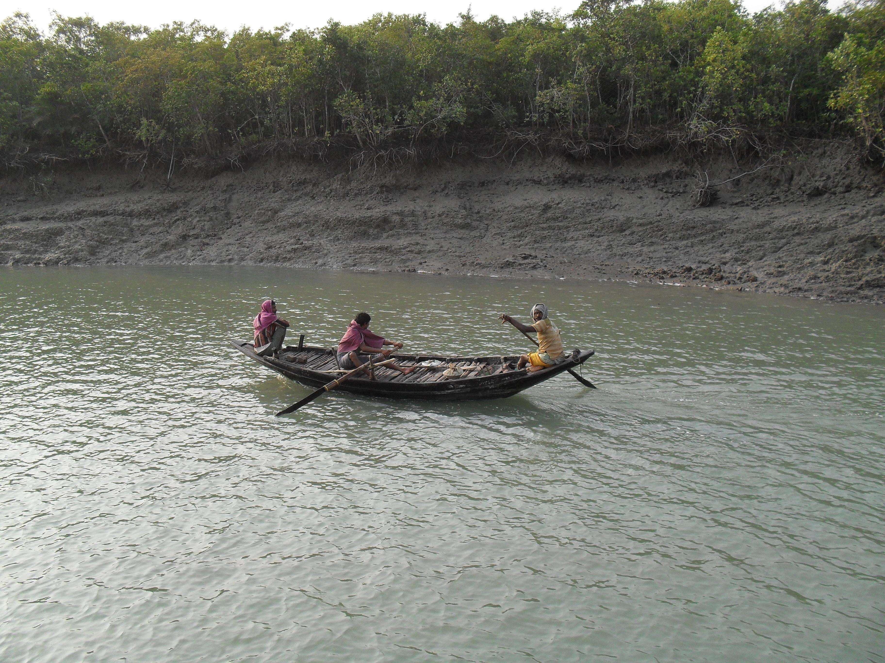 Modi praises Sundarbans widows for leading mangrove restoration