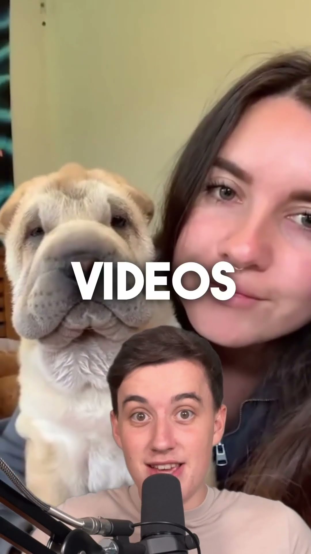 Heartwarming dog reactions to forehead kisses