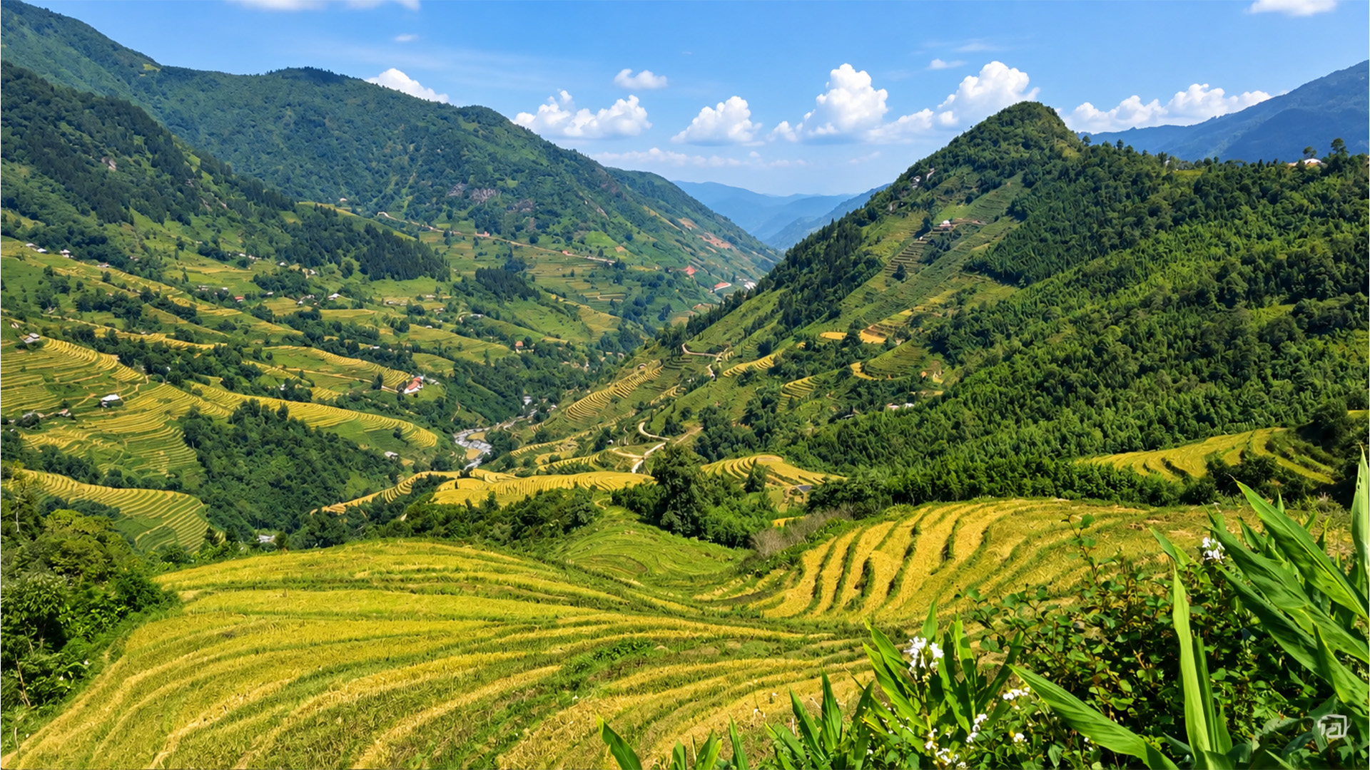 Walking through Sa Pa’s rice terrace valleys