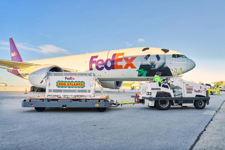 2 giant pandas arrive in Atlanta under a US-China government agreement