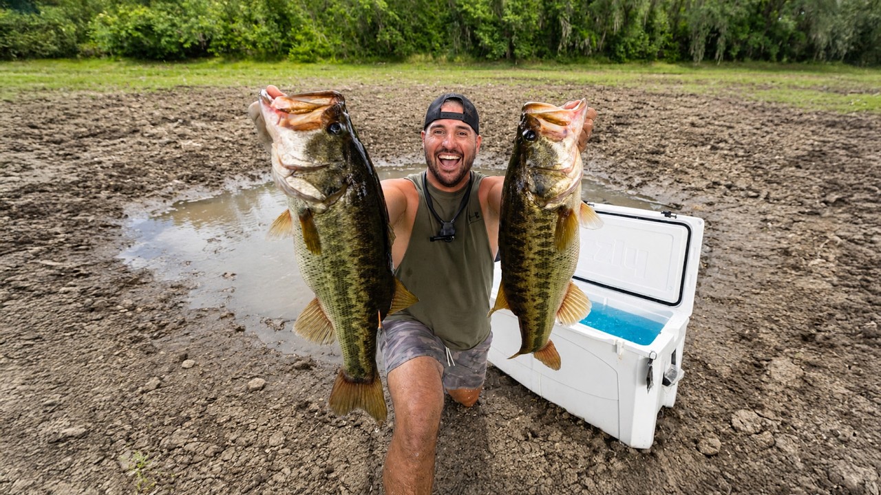 I saved fish before the puddles dried up