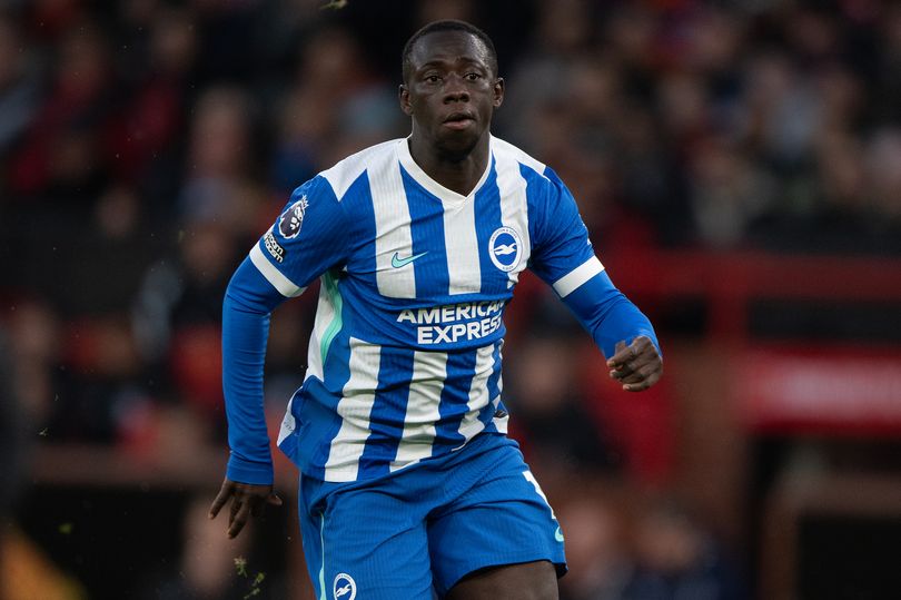 Yankuba Minteh of Brighton & Hove Albion during a Premier League match