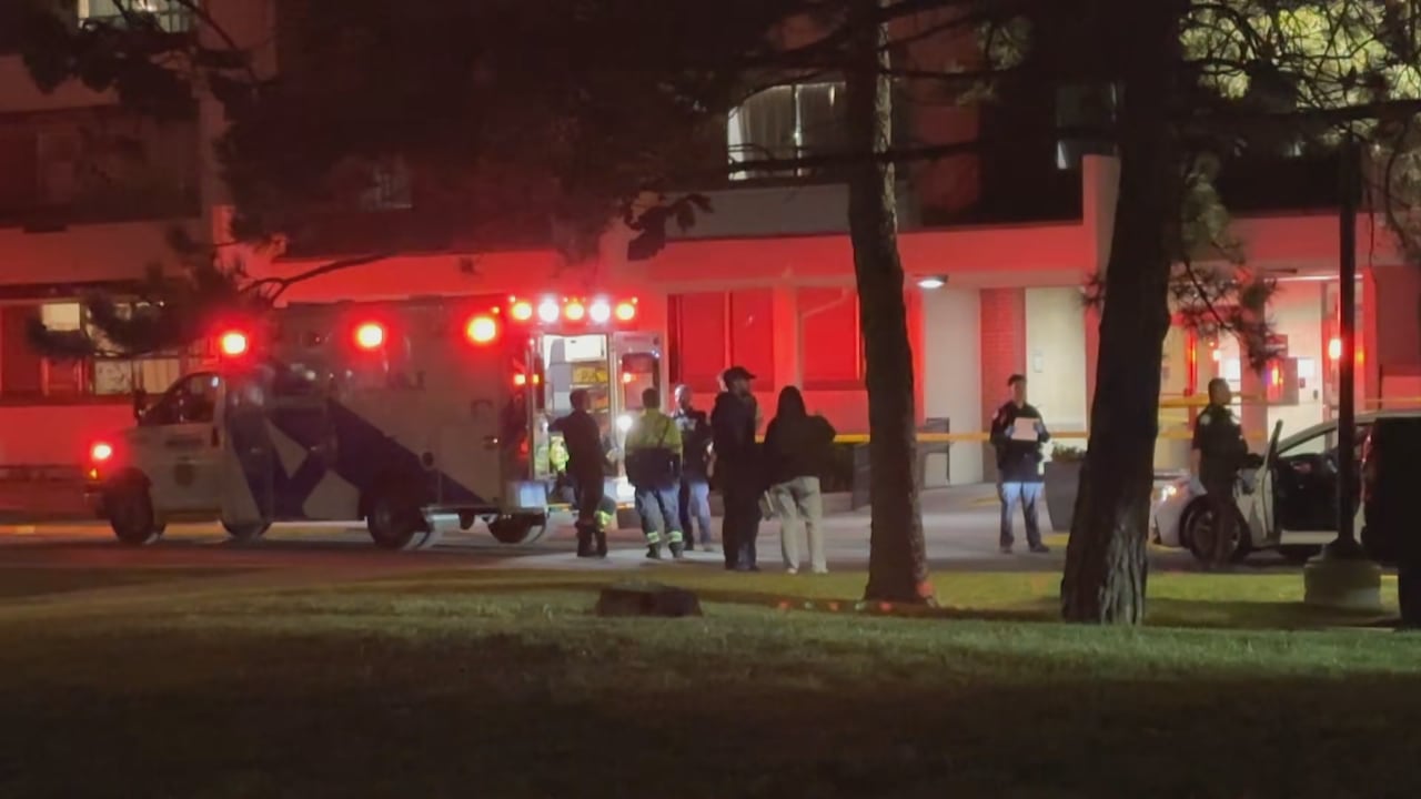 Man dead, 1 arrested after stabbing in North York: Toronto police