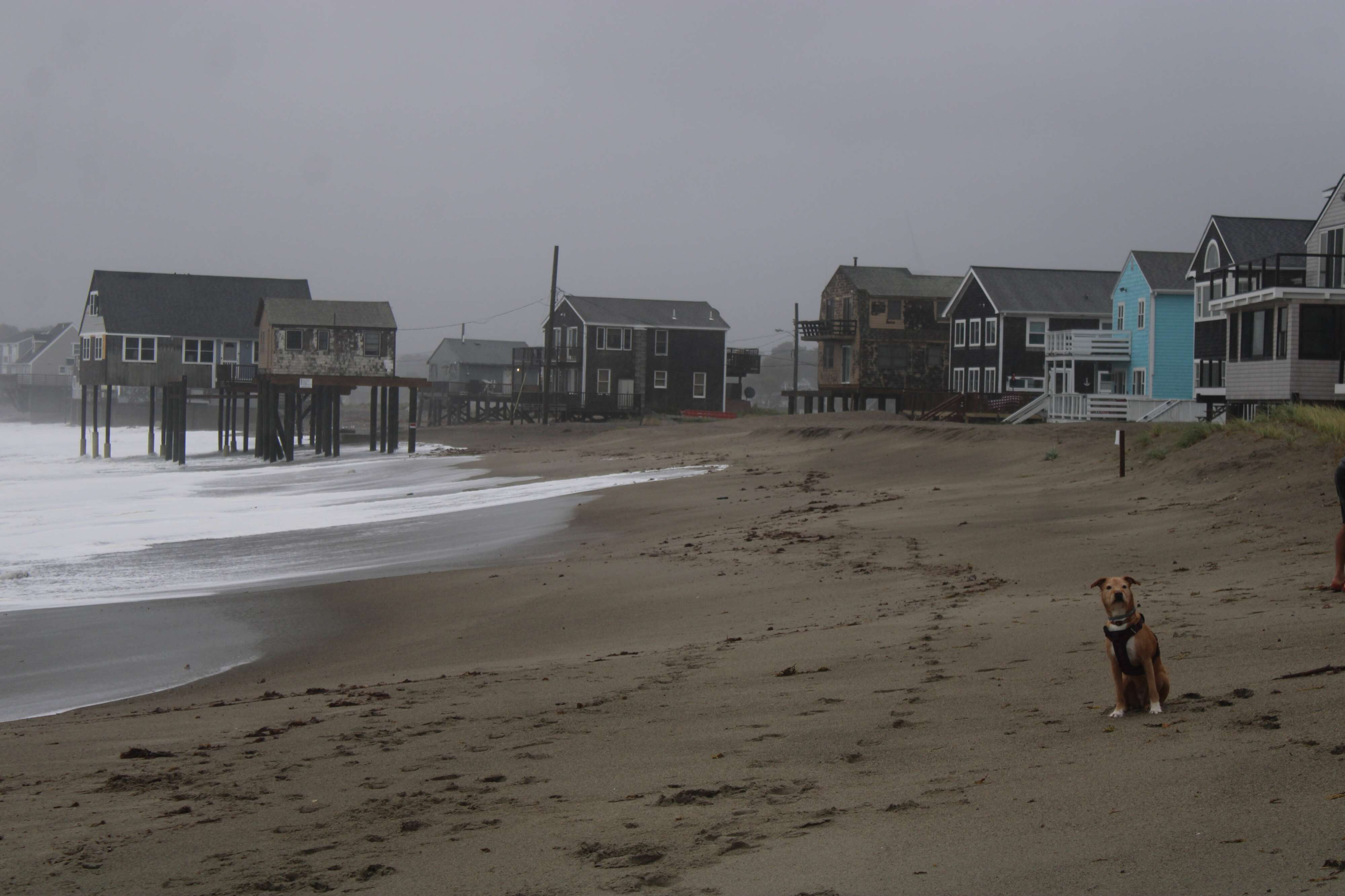 Nor’easter hits Mass. — what to know about power outages, flooding, travel
