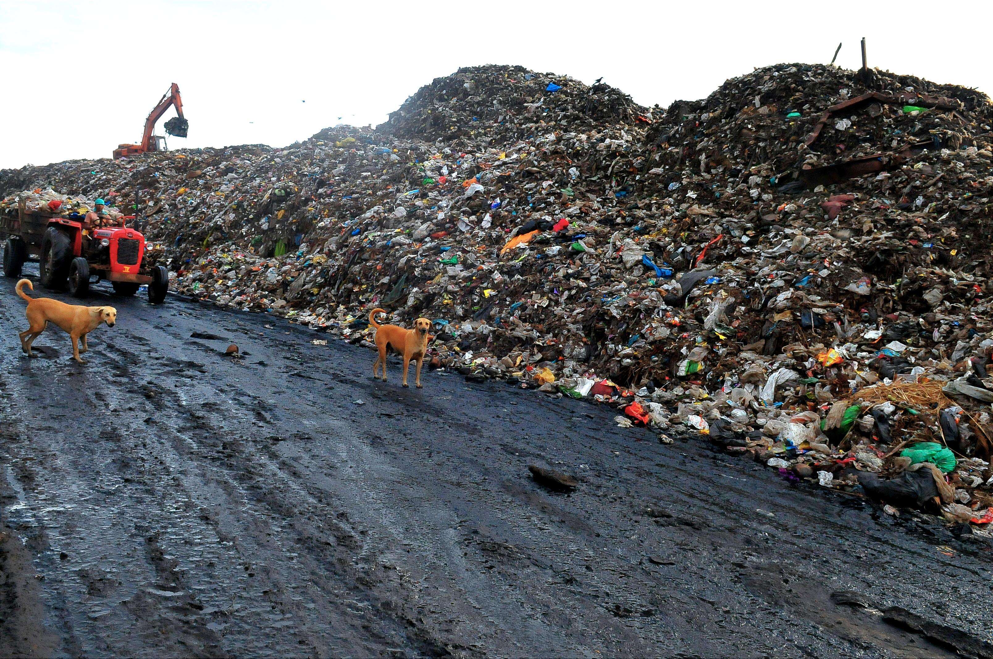 BMC to deploy 2 more unmanned boats to clear floating waste at Sassoon ...