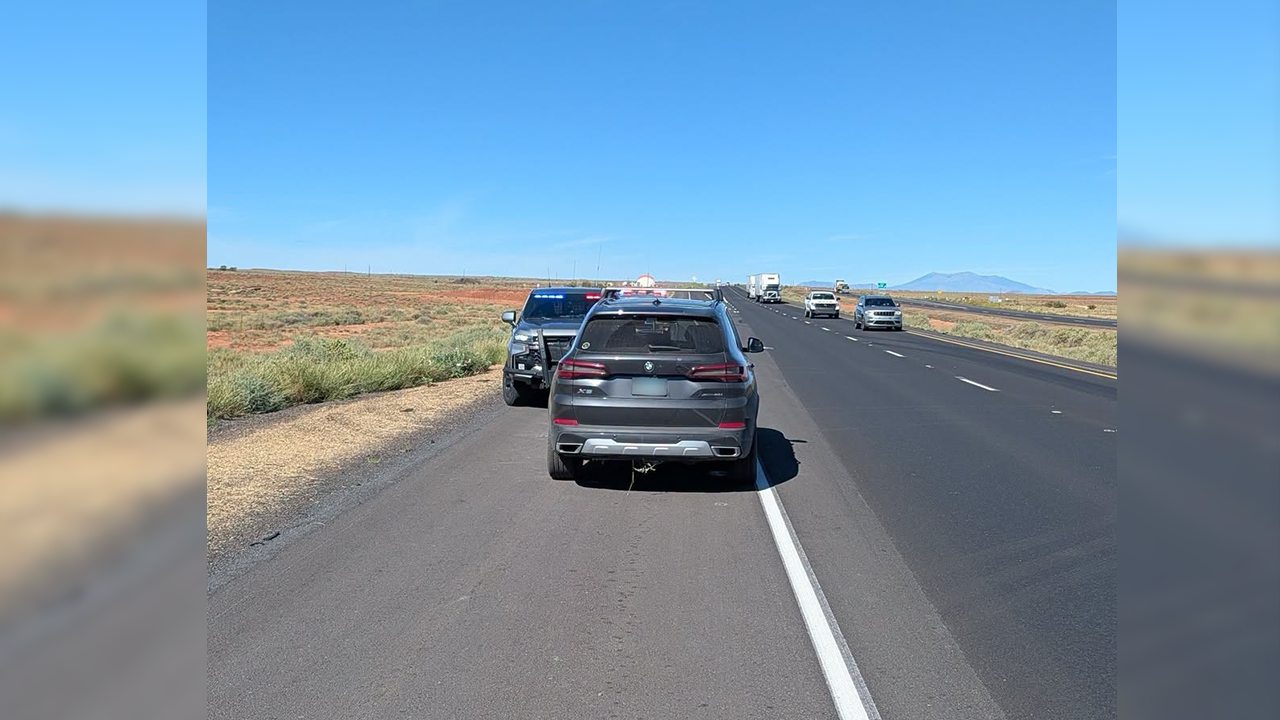 Arizona wrong-way driver arrested after claiming to play dangerous ...