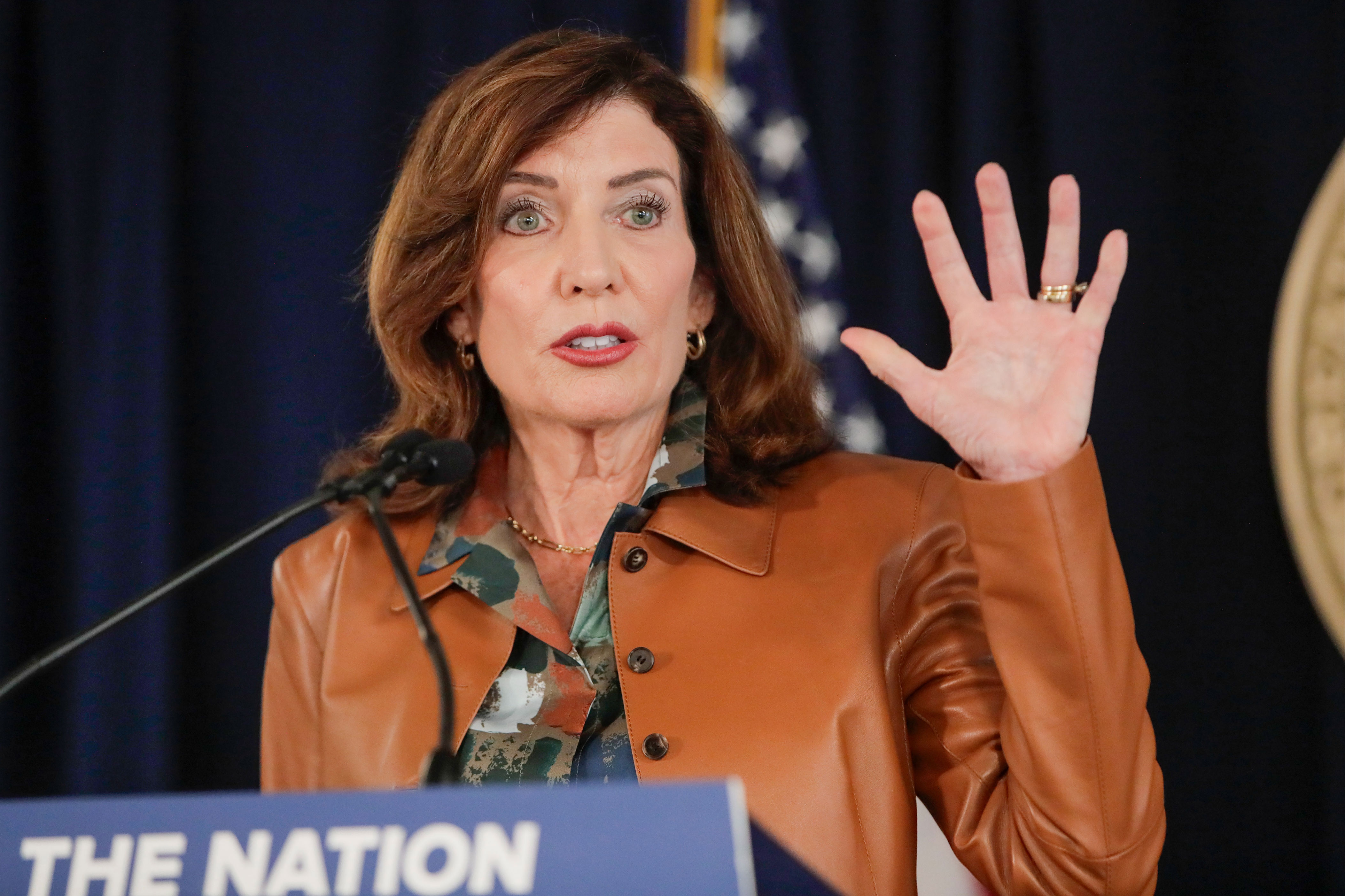 Cheer this latest strike against NY pols’ climate posturing