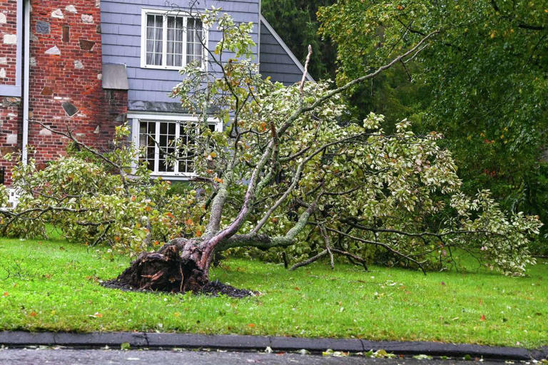 Connecticut nor'easter brings wind gusts of up to 56 mph. Here's where ...