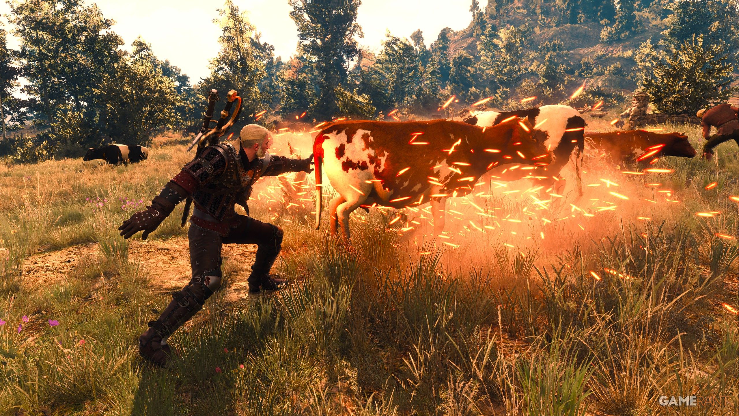 The Witcher 3: Best money exploits (2026)