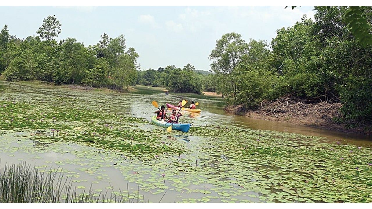 Adventure tourism to be introduced in Odisha forests soon