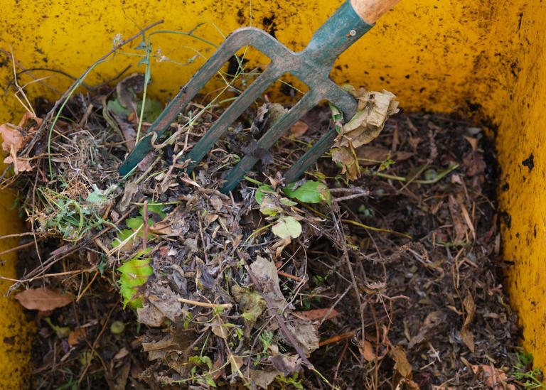 What to put in your compost bin – and what to leave out