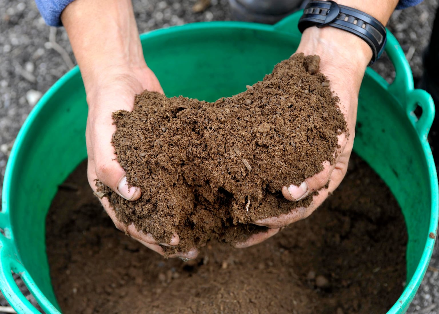 What to put in your compost bin – and what to leave out