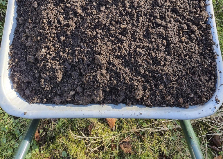 What to put in your compost bin – and what to leave out