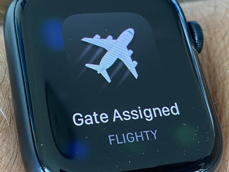 Flighty is my favorite flight tracking app and it keeps getting better