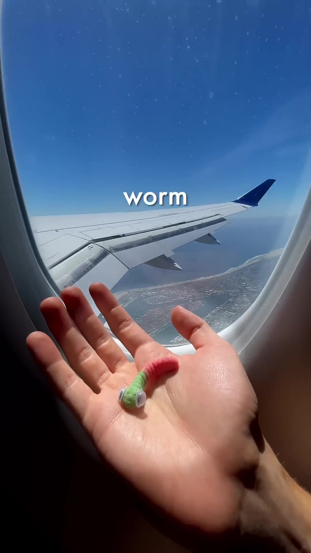 Taking my gummy worm on a dream cruise! (Hilarious green screen adventure)