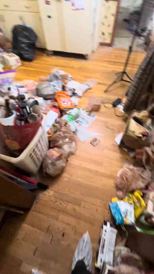 When pets are part of a hoarding cleanup