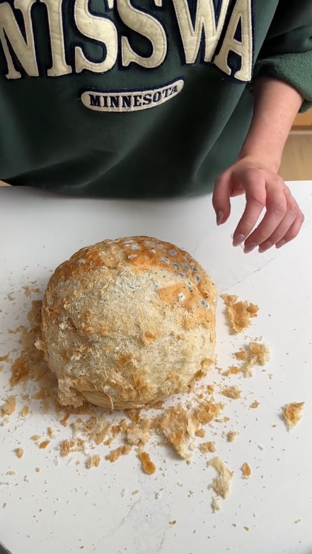 Simple hack to save stale bread