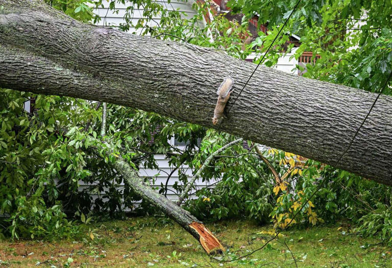 Connecticut nor'easter live recap: 56 mph wind gusts, flooding and ...