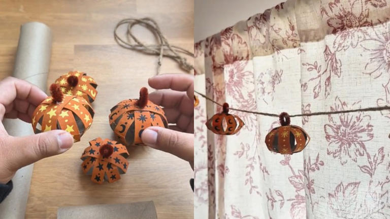 Stop tossing toilet paper rolls: There's a unique way to use them to ...