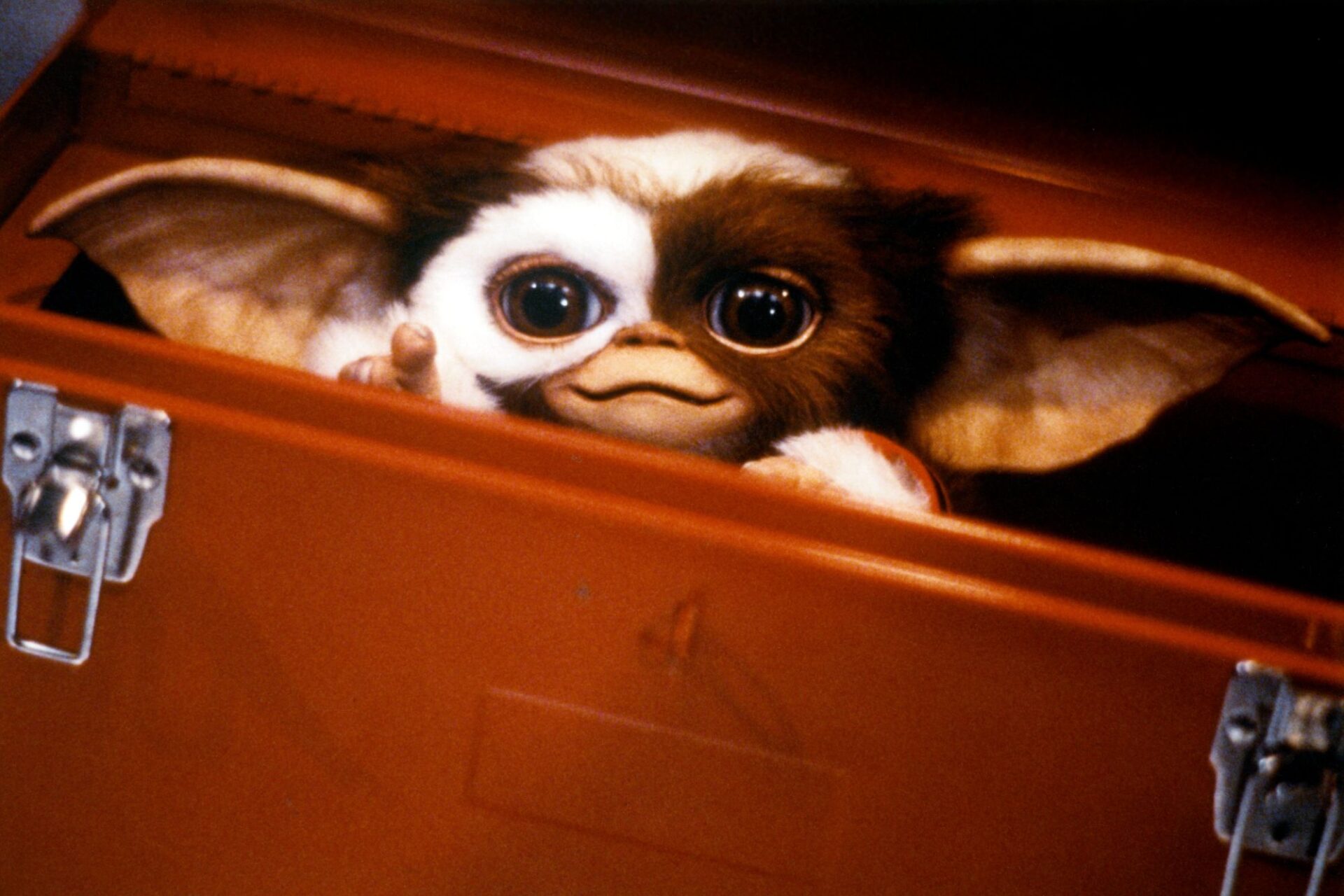 Latest news on 'Gremlins 3': The new installment will delay its release