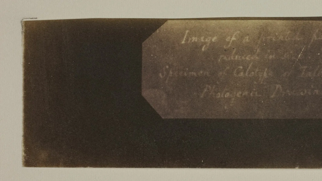 History and preservation of photography