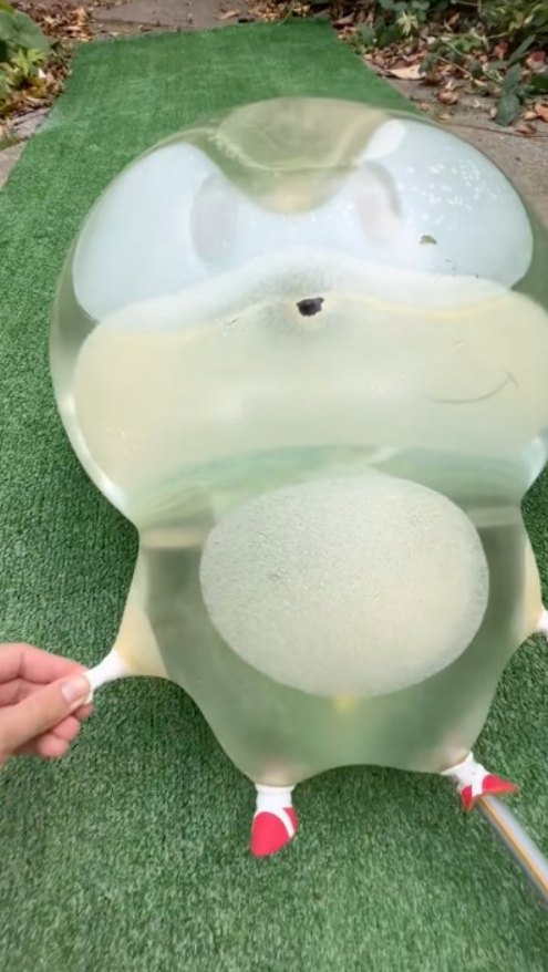 Rare sonic experiment a wild water test with a surprising ending