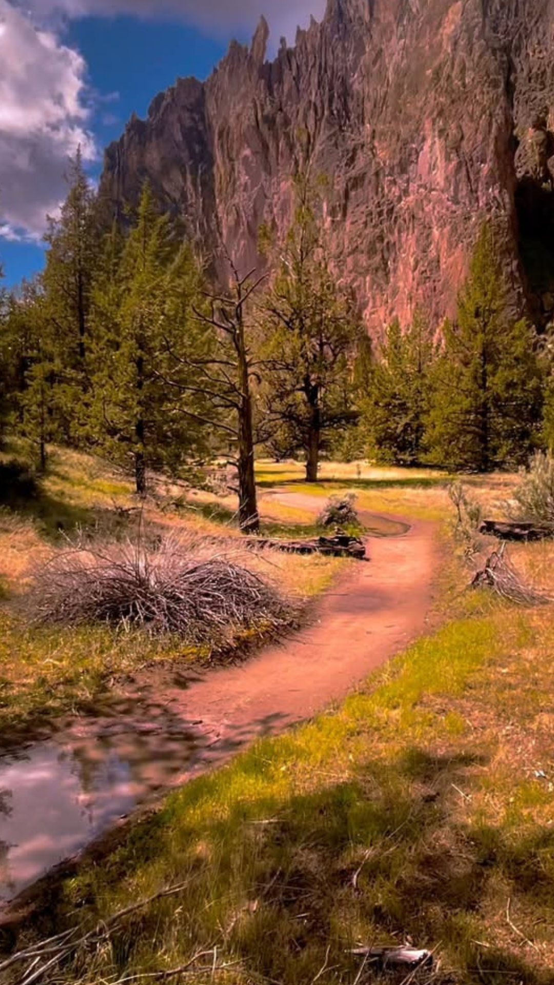 Peaceful nature escapes and reflective travel moments