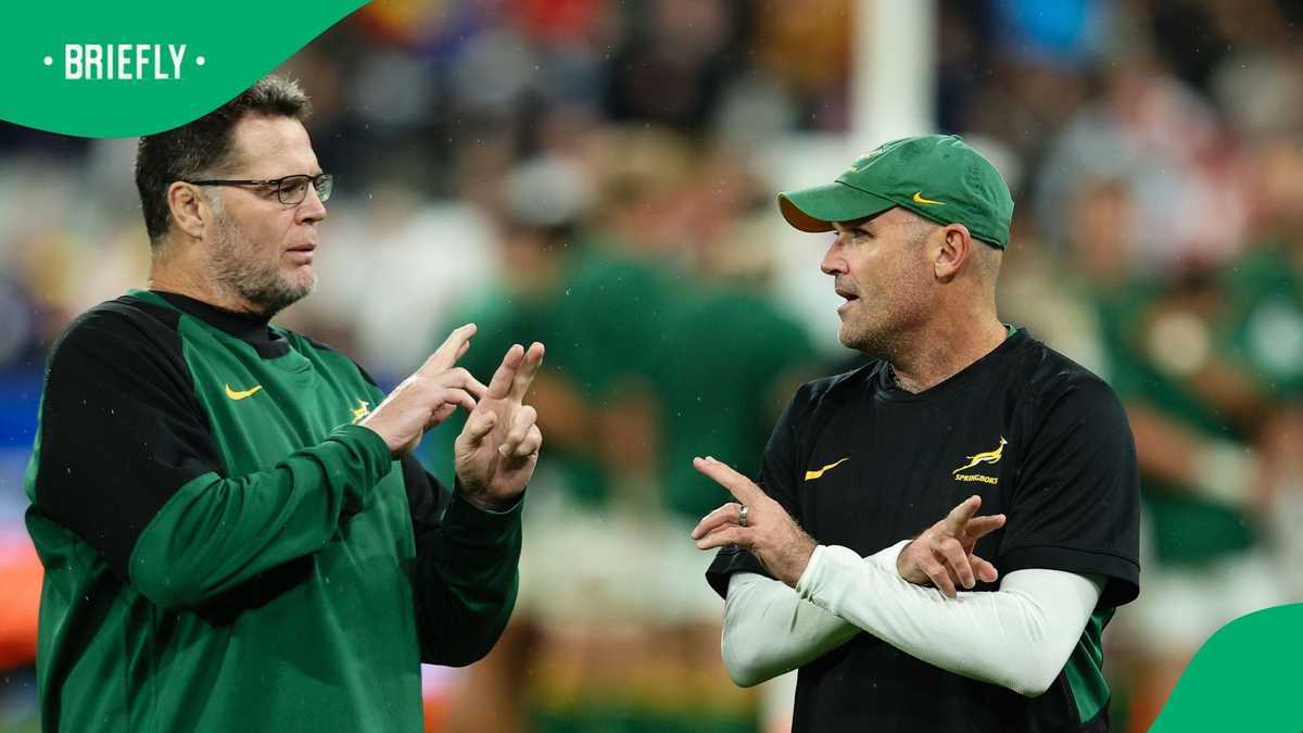 Rassie Erasmus takes responsibility after Springboks’ shock loss to ...