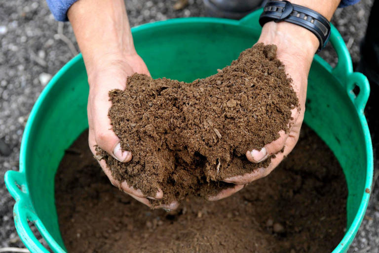 A horticulturist’s simple guide to successful composting
