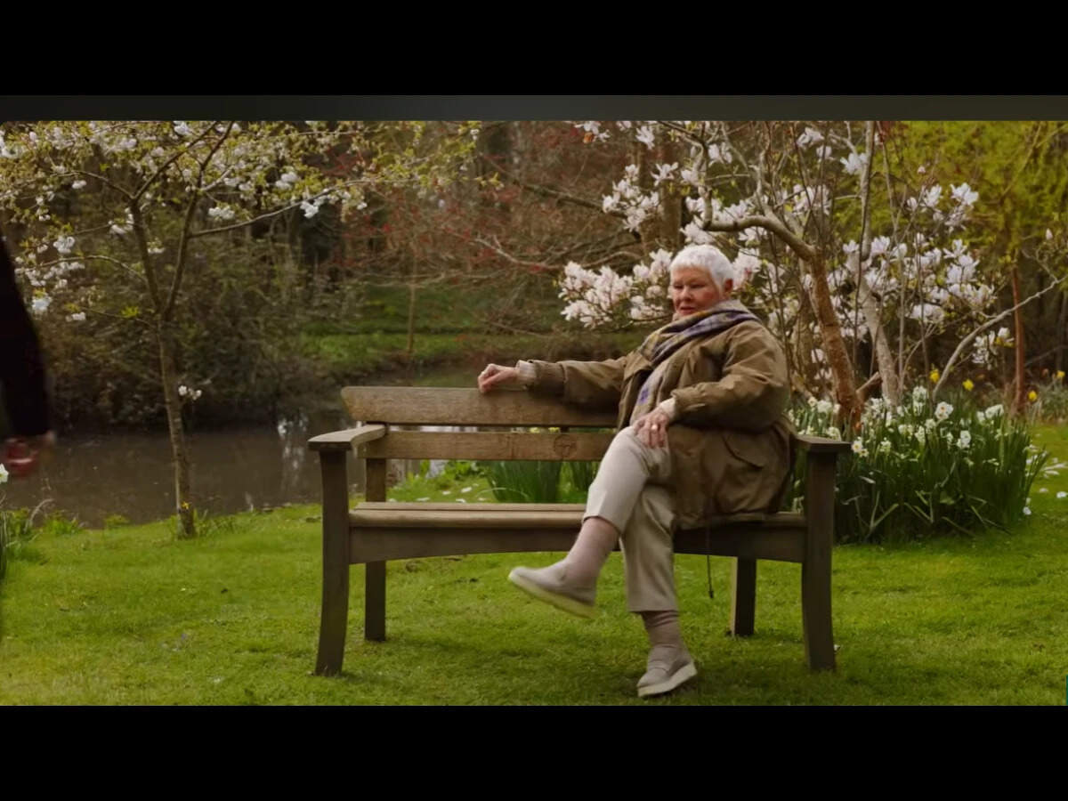 Inside Judi Dench’s six-acre Surrey garden — over 100 trees, a white ...