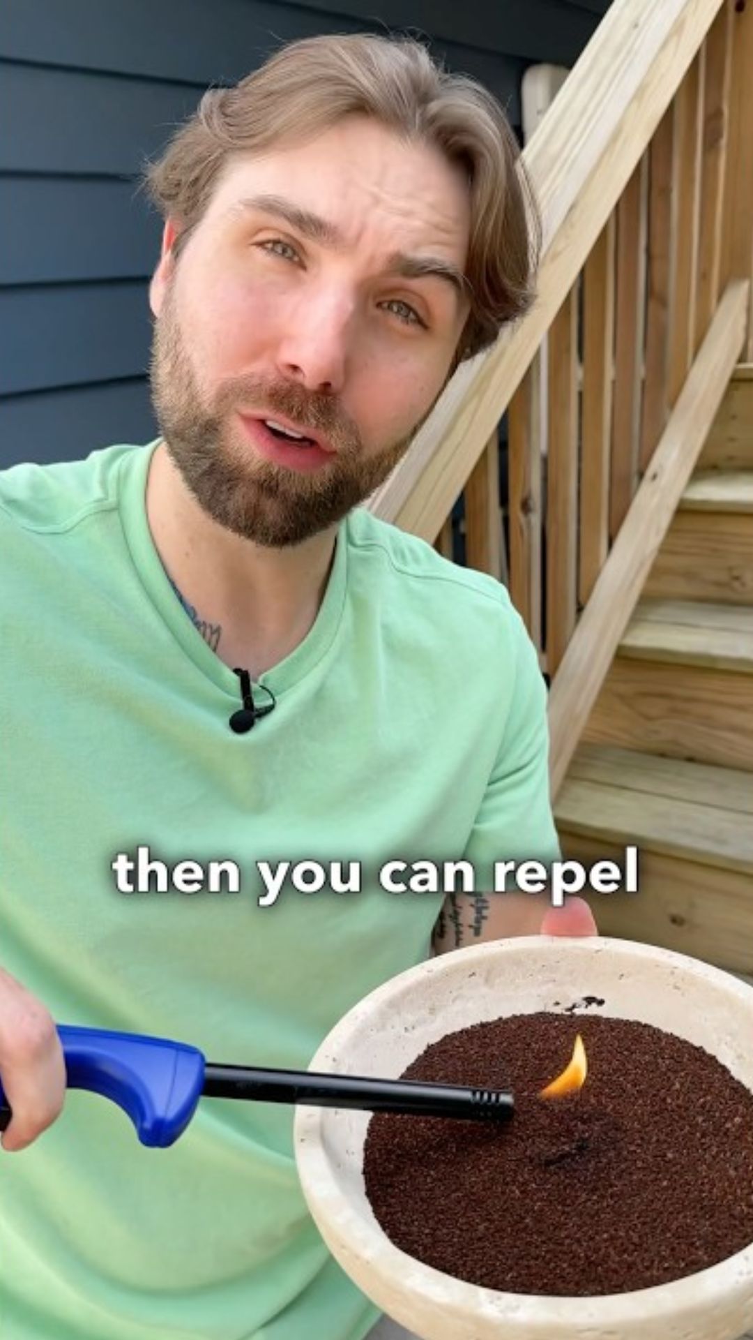 Natural pest and bug control methods that actually work