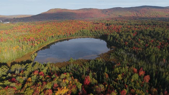 Sunshine brings out vibrant fall colors in Vermont