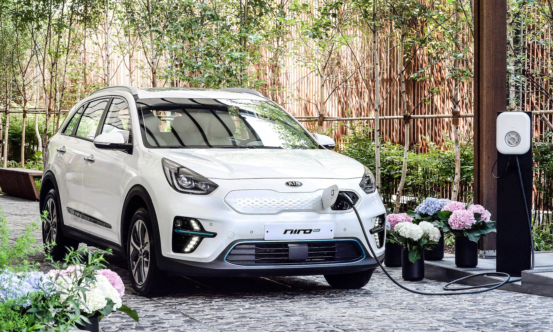 High-mileage EVs are more durable than petrol cars, major MOT study reveals