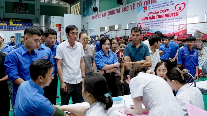 175 người tham gia hiến máu tình nguyện tại Cụm Đoàn Than vùng Uông Bí - Đông Triều