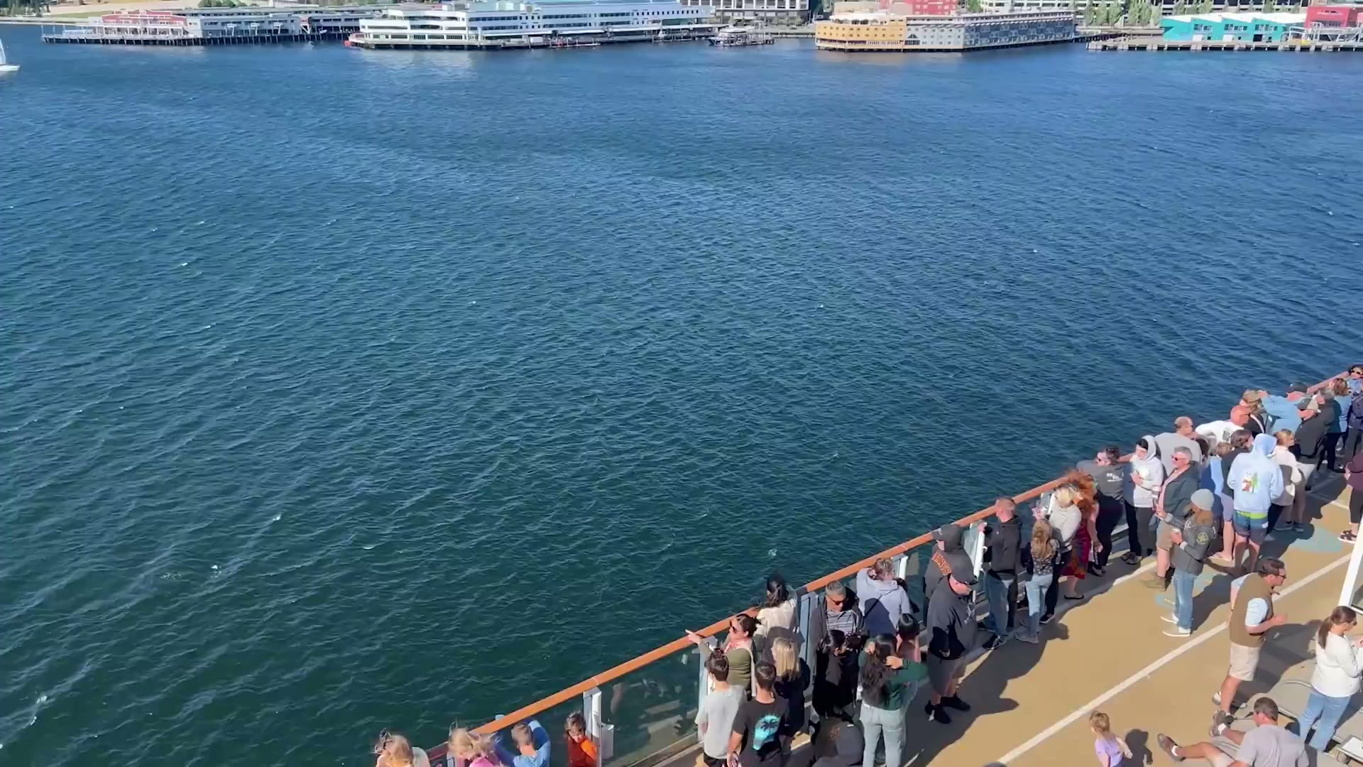 Passengers are wasting money on these 15 cruise experiences - some last ...