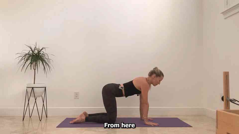 Basic mat Pilates for beginners!