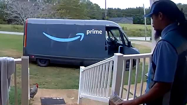 Amazon driver gets confronted by chicken