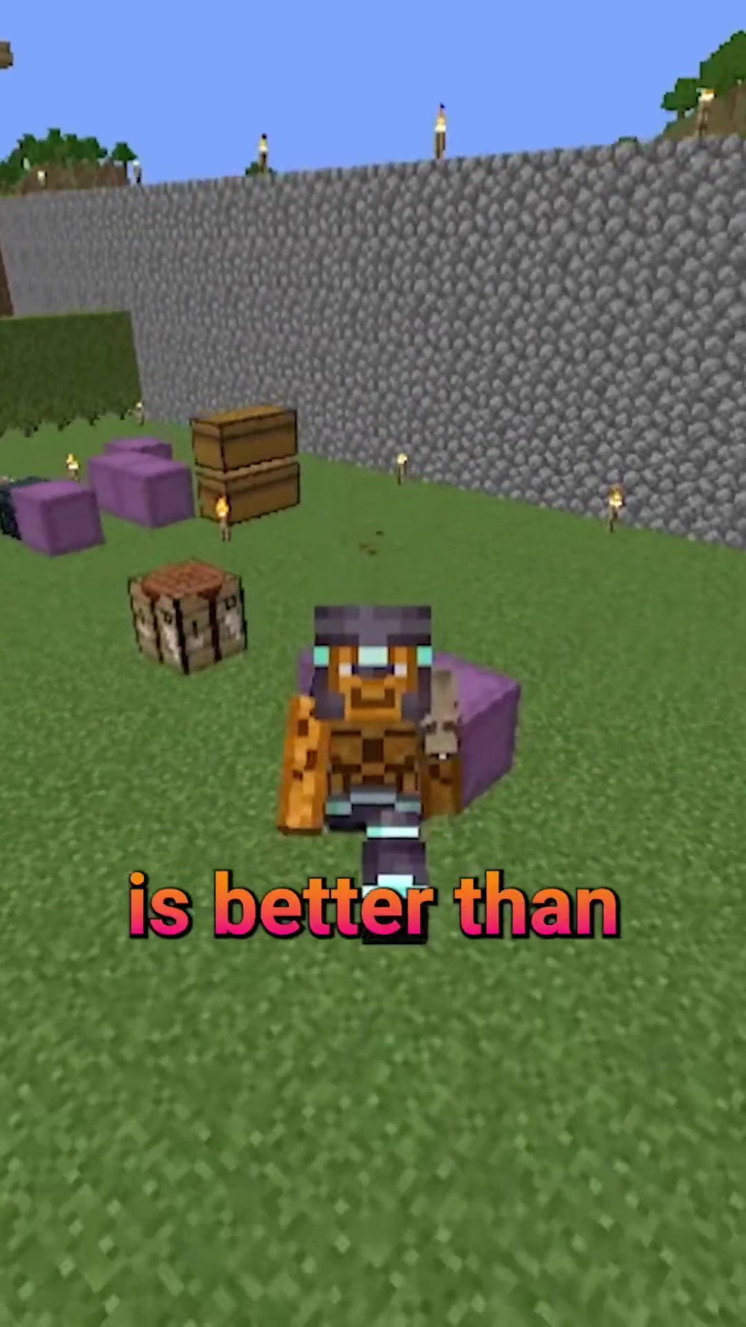 Java Edition > Bedrock Edition! The nether roof in Java Edition is so...