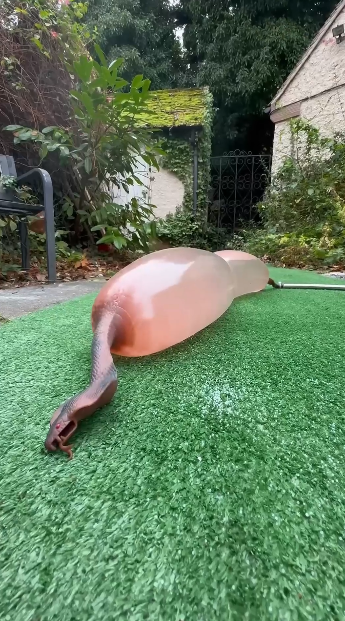 Pushing water filled toys beyond their normal limits