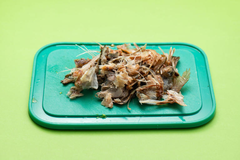 What to put in your compost bin – and five things to always leave out