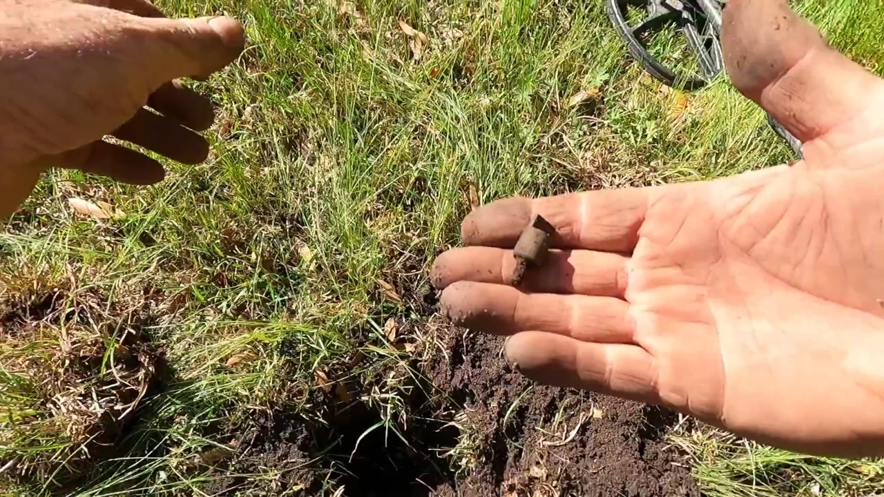 He suspected an old tree had caught the bullets… then found a minié ...