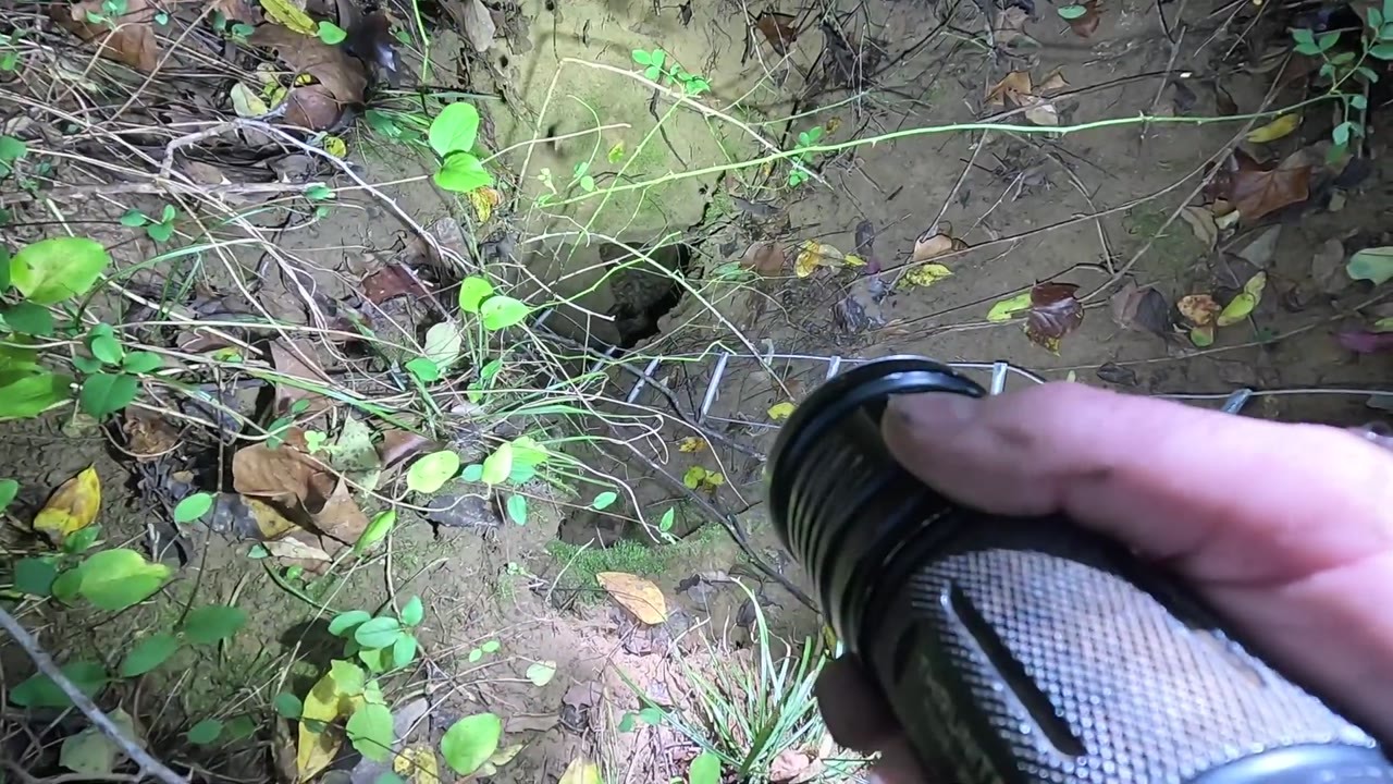 He found a three-foot hole in the woods and returned with a ladder ...