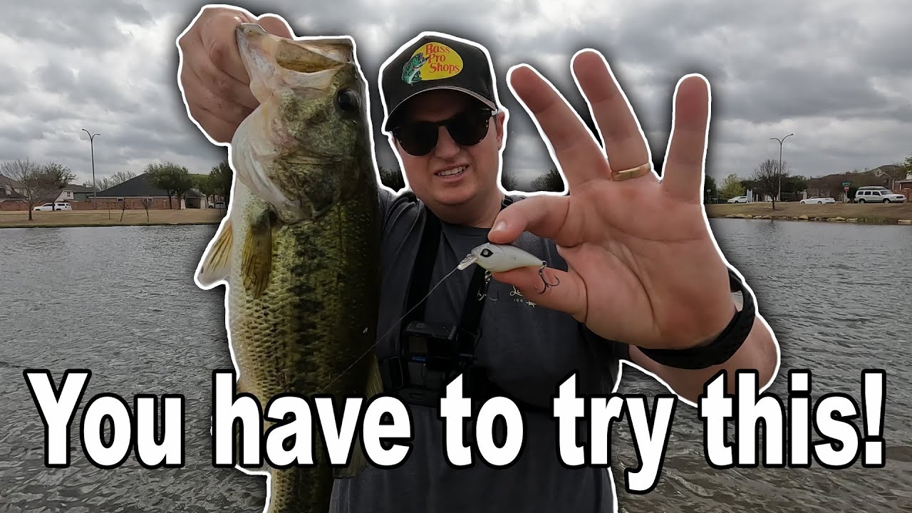 BFS bass fishing with micro crankbaits — can they catch big bass?