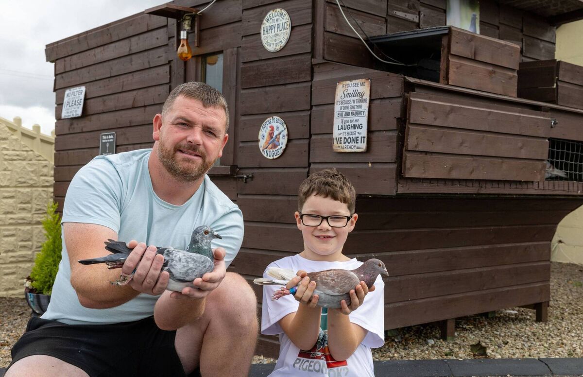 Meet the 8-year-old pigeon fancier from Carlow with 22 racing birds and ...