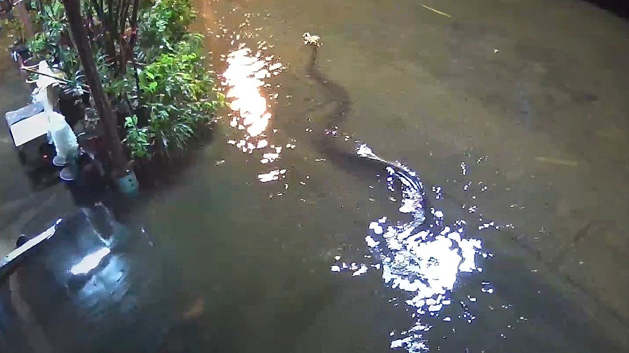Jet ski rider cruises through flooded streets of Bangkok